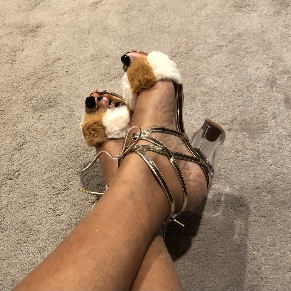 Shoes 🐶 - Picture 2 of 8